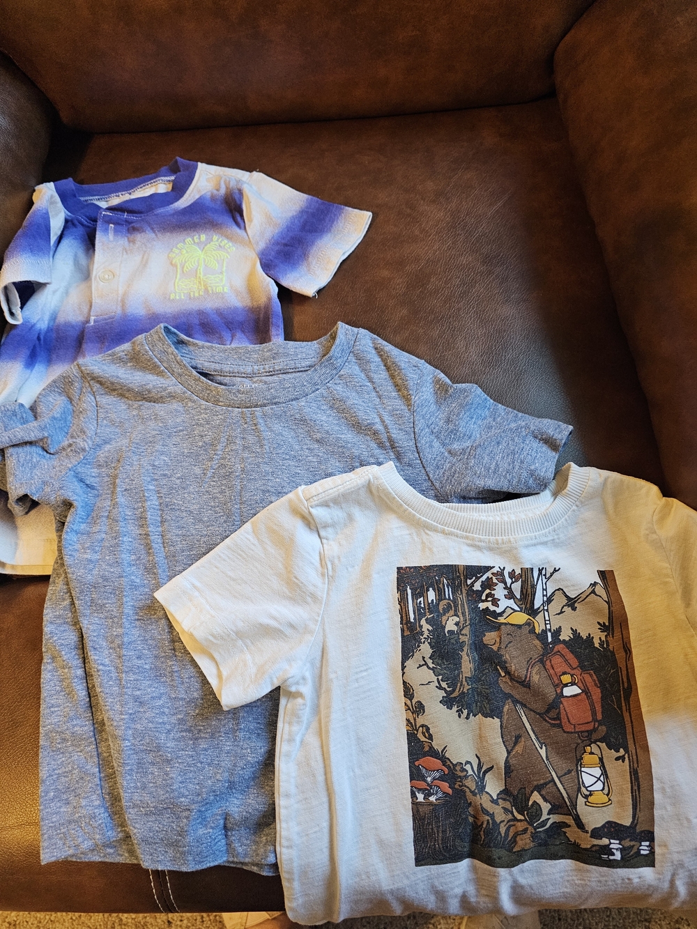 Lot of 3 Kid Shirts Aspen Bear Graphic Tee, Carter's Blue/White Tee, Falls Creek